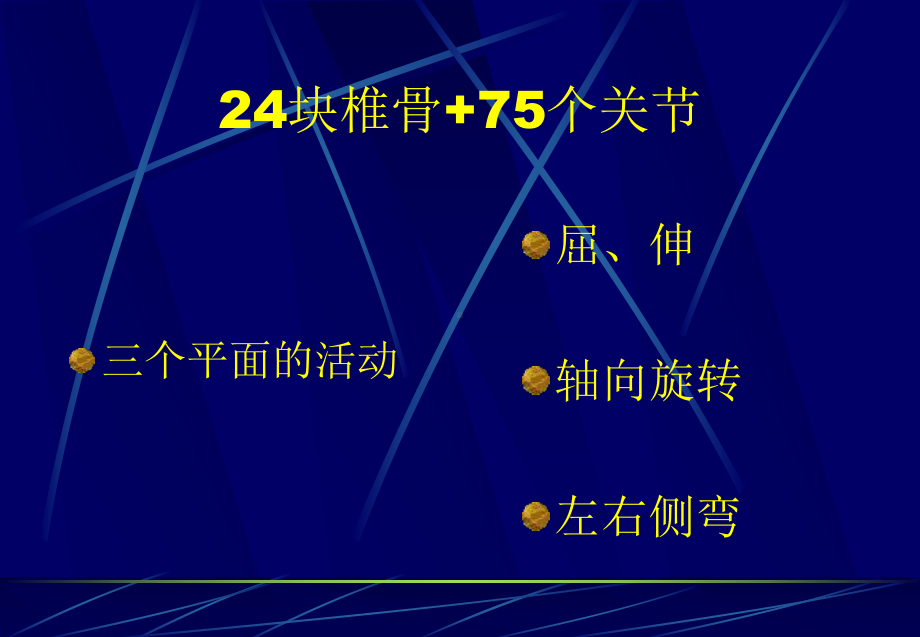 人工椎间盘理论设计与原理课件.pptx_第3页