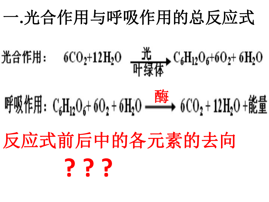 光合作用与呼吸作用的计算上课用课件.ppt_第3页