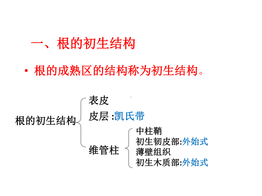 植物学教学资料期末复习课件.pptx_第2页