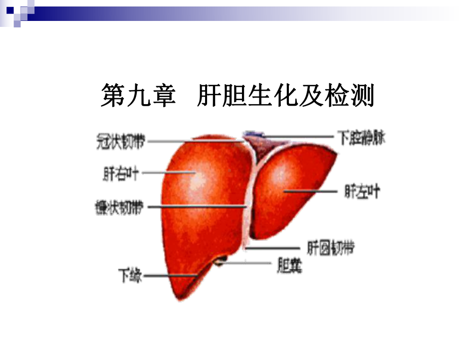 肝胆生化及检测课件.ppt_第1页