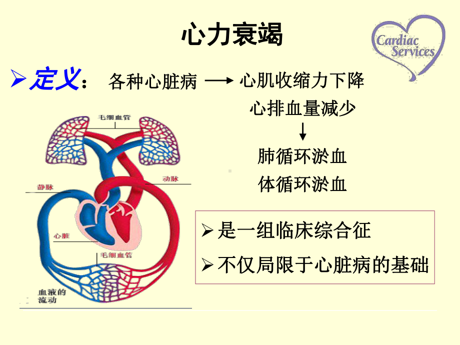 心力衰竭病人的护理查房教学提纲课件.ppt_第3页