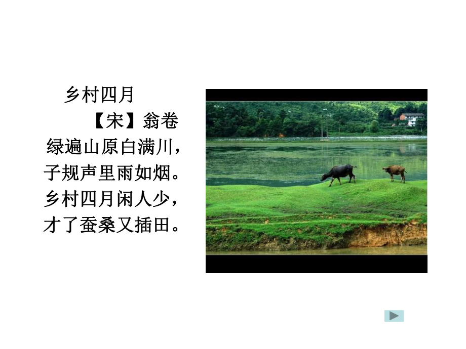 二年级下册语文课件作文指导：二十一有趣的昆虫部编版.ppt_第3页