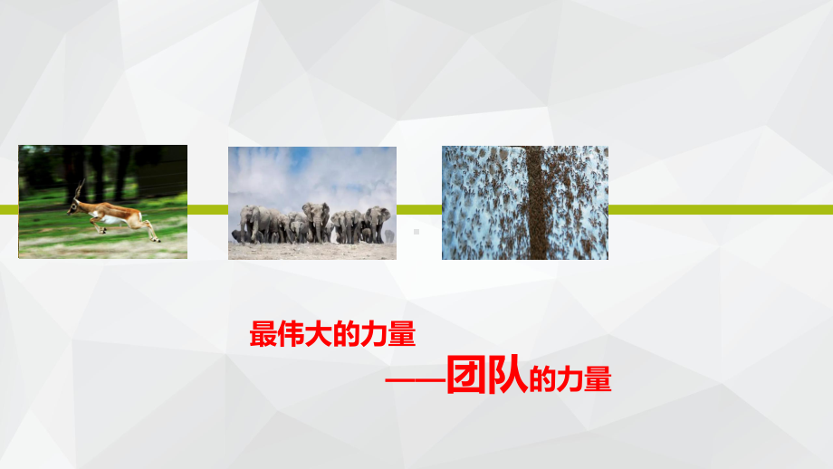 创业团队的组建师傅课件.ppt_第1页