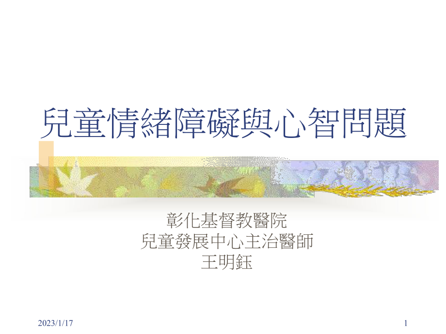 儿童情绪障碍与心智问题课件.ppt_第1页