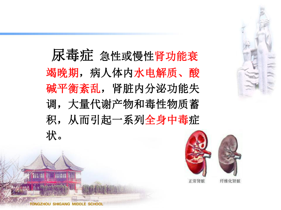 小六护理查房课件.ppt_第2页