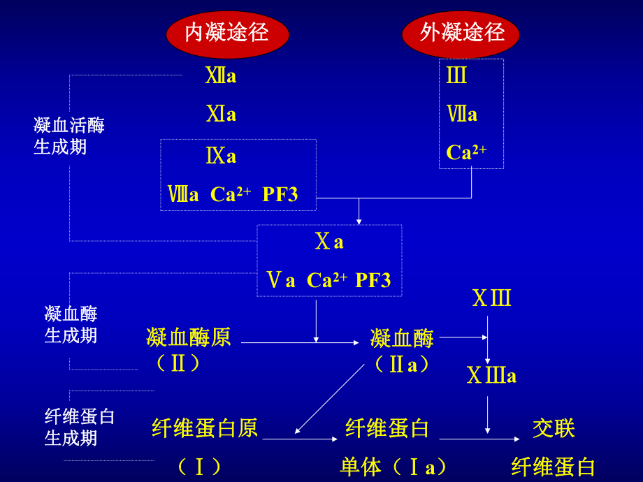 弥散性血管内凝血1 课件.ppt_第3页