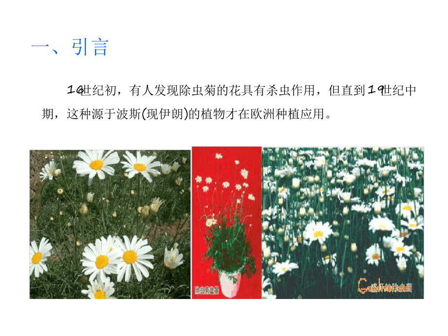 第四节拟除虫菊酯类杀虫剂课件.ppt_第2页