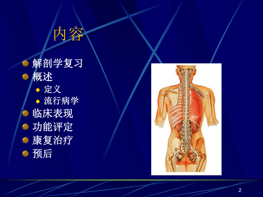 脊髓损伤康复1课件.ppt_第2页