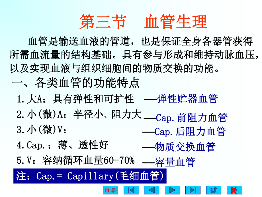 大学医学院生理最新版课程第四篇血管生理课件.ppt_第1页