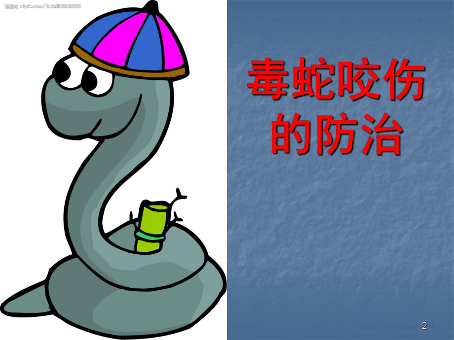 毒蛇咬伤防治知识课件.ppt_第2页