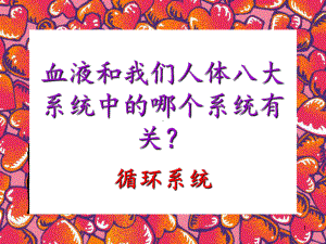 人体八大系统-循环系统-课件.ppt