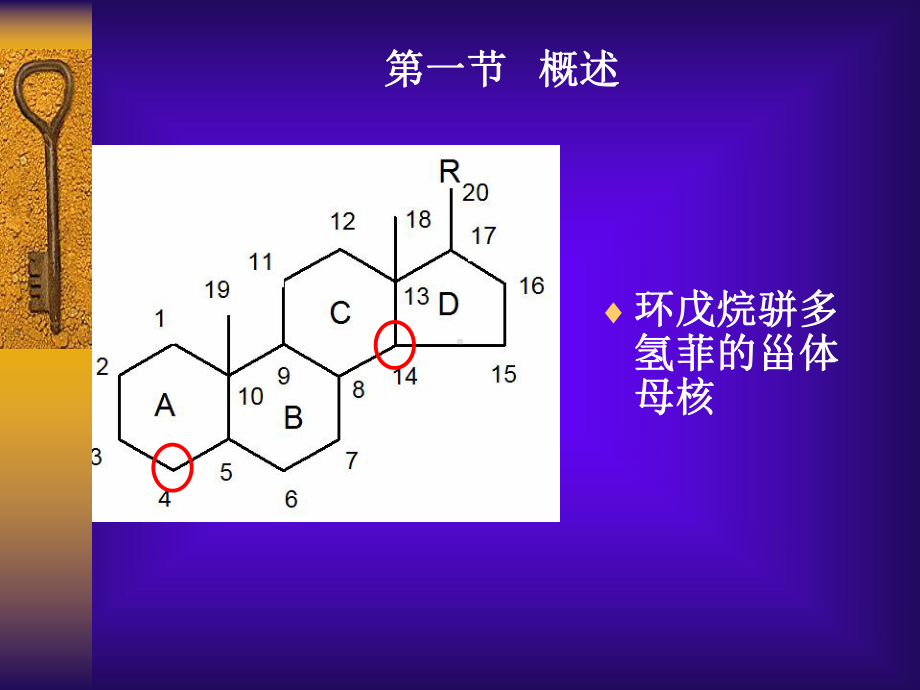 甾体及其苷类课件.ppt_第2页