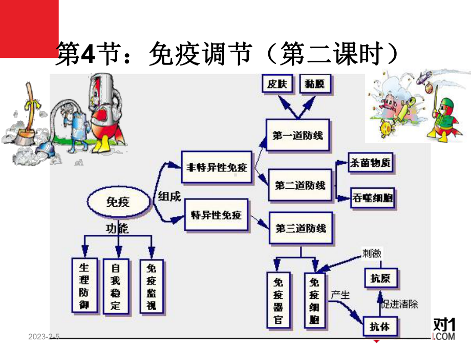 必修3稳态与环境24免疫调节(第二课时)课件.ppt_第1页