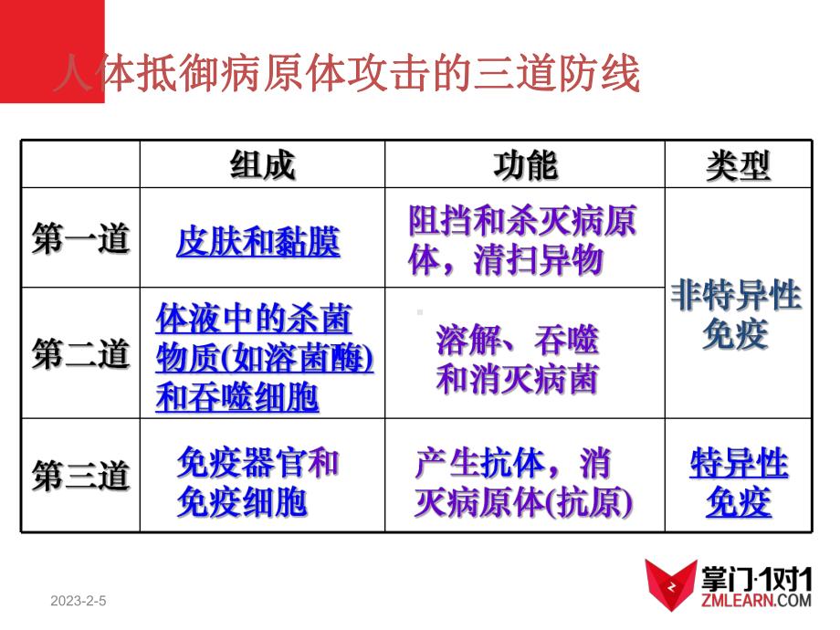 必修3稳态与环境24免疫调节(第二课时)课件.ppt_第2页