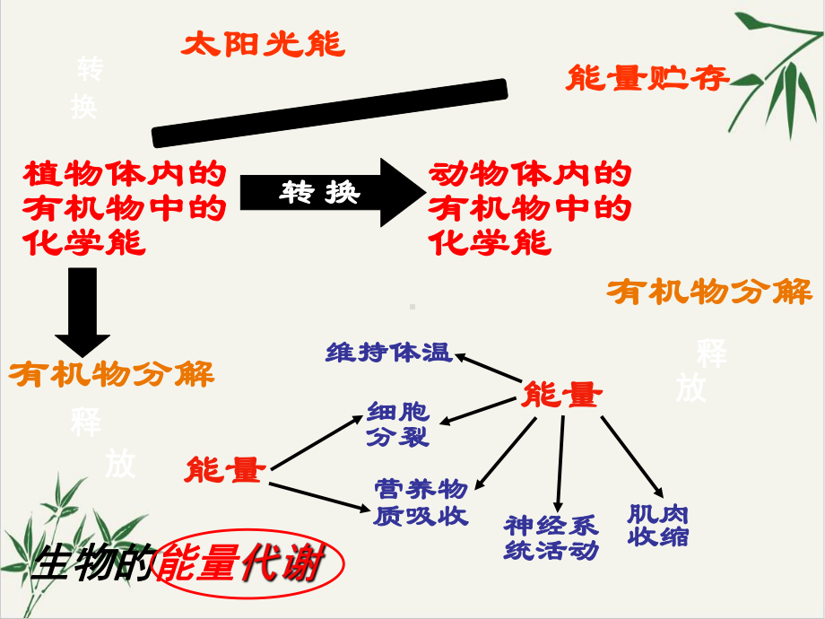 代谢的多样性—浙教版九级科学上册课件.ppt_第2页