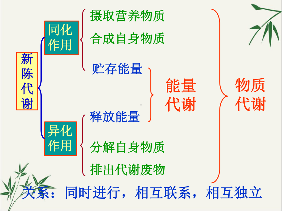 代谢的多样性—浙教版九级科学上册课件.ppt_第3页