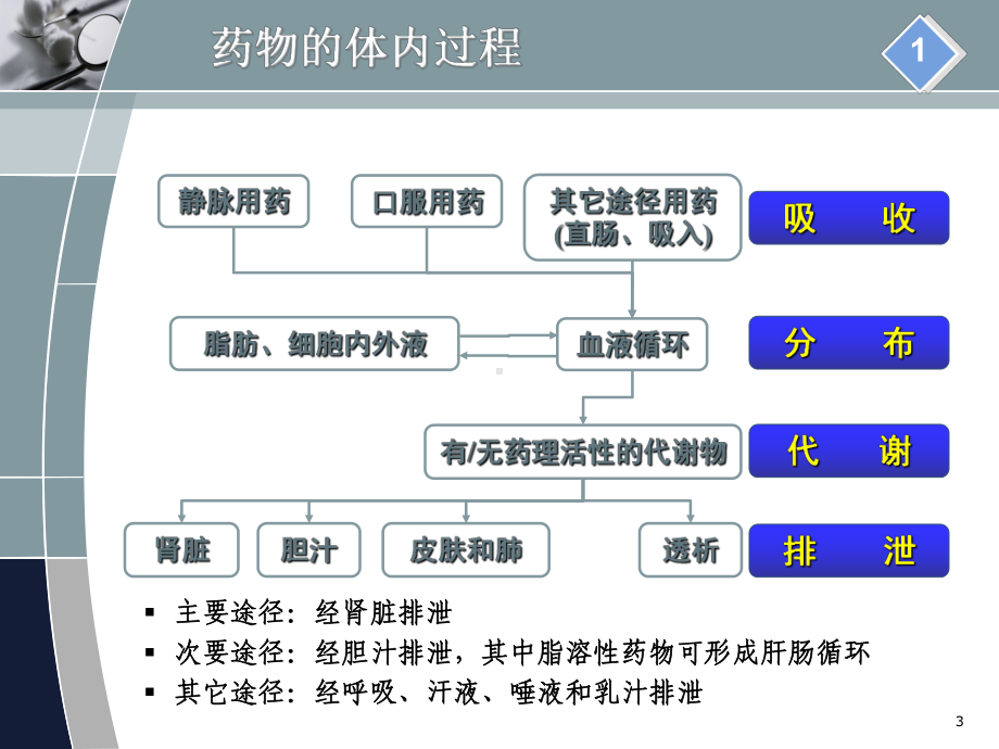 肾功能不全患者的合理用药讲 课件.ppt_第3页