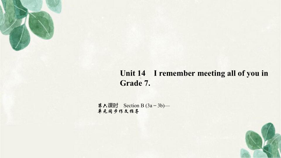 九年级英语下册-Unit-14-I-remember-meeting-all-of-y课件.ppt（纯ppt,可能不含音视频素材）_第1页