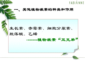 乙烯利植物生长调节剂二课件.ppt