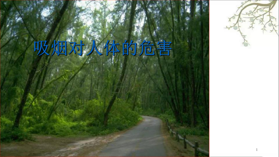 吸烟对人体的危害课件.ppt_第1页