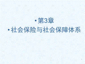 社会保险与社会保障体系概述课件.ppt