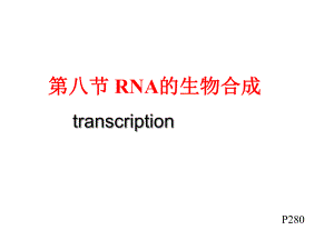 第六章 核酸化学yu代谢4课件.ppt