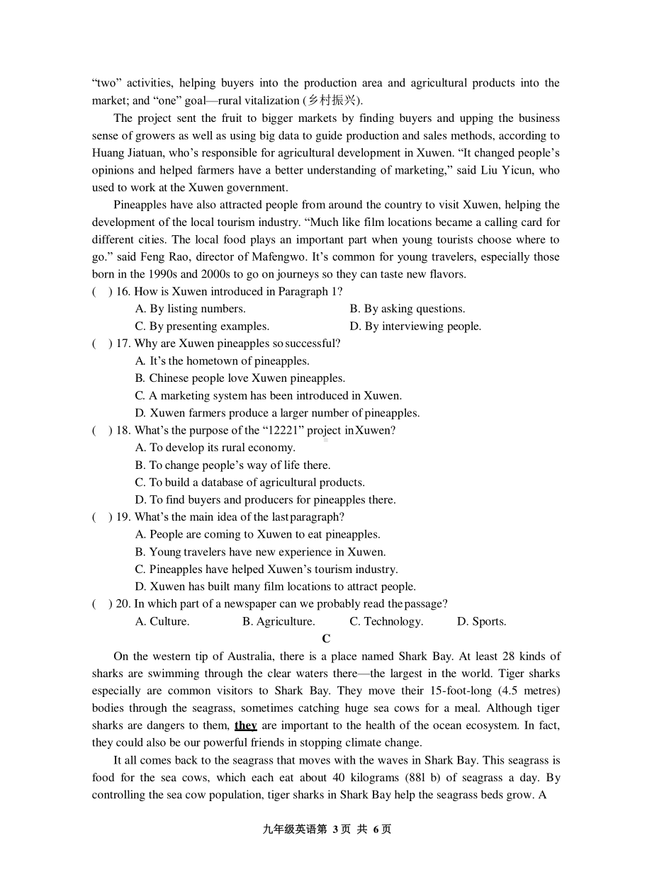 广东省深圳市龙岗区2022-2023学年九年级上学期期末英语试卷.pdf_第3页