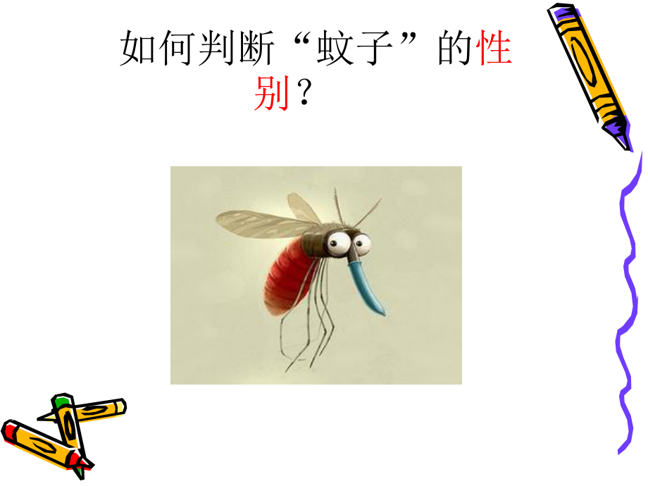 春夏预防传染病登革热课件.ppt_第1页