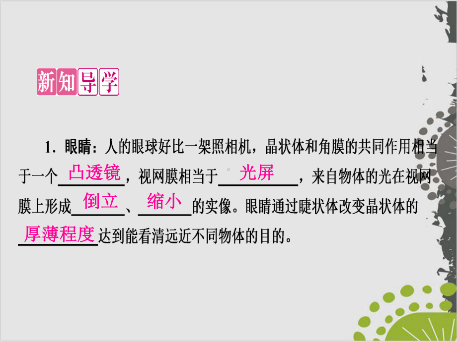 人教版物理《眼睛和眼镜》1课件.ppt_第2页