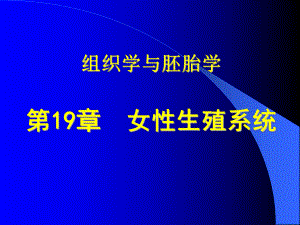 组织学与胚胎学19章 女性生殖系统课件.ppt