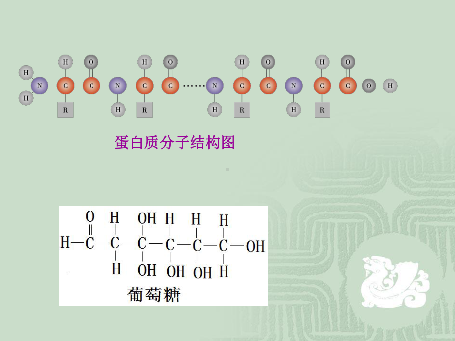 细胞中的生物大分子糖脂质课件.ppt_第3页