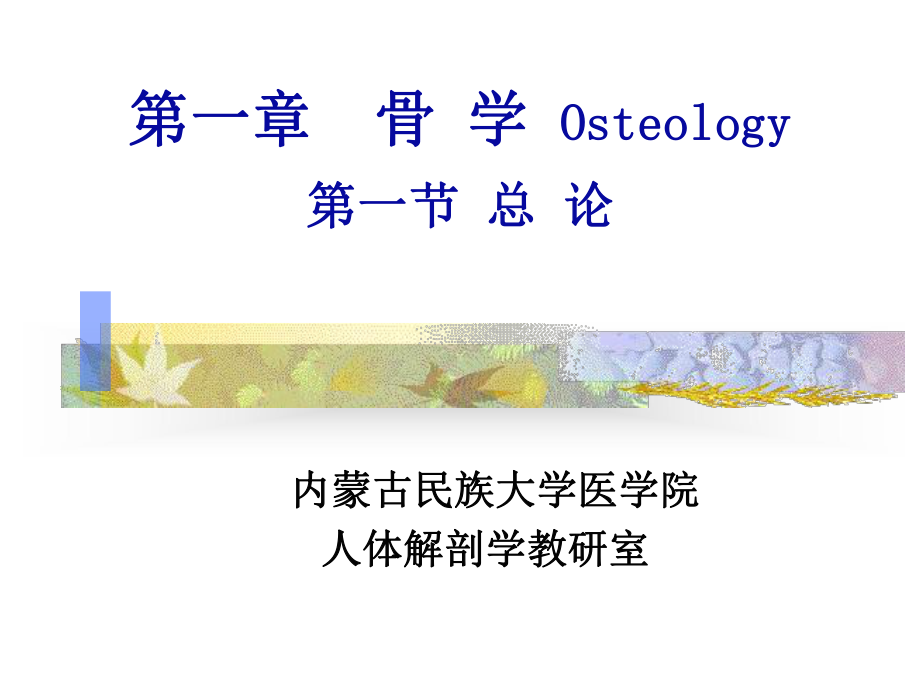 关节和骨骼肌组成课件.ppt_第1页