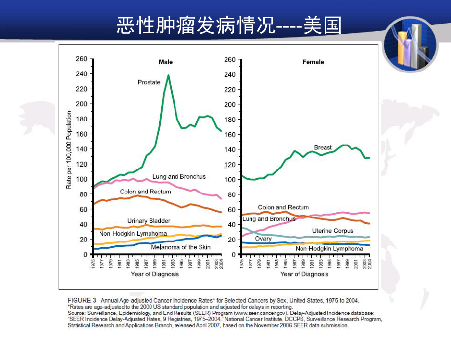 泌尿及男性生殖系统肿瘤09进修生课课件.ppt_第2页