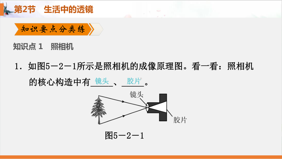 人教版透镜及其应用5课件.pptx_第3页