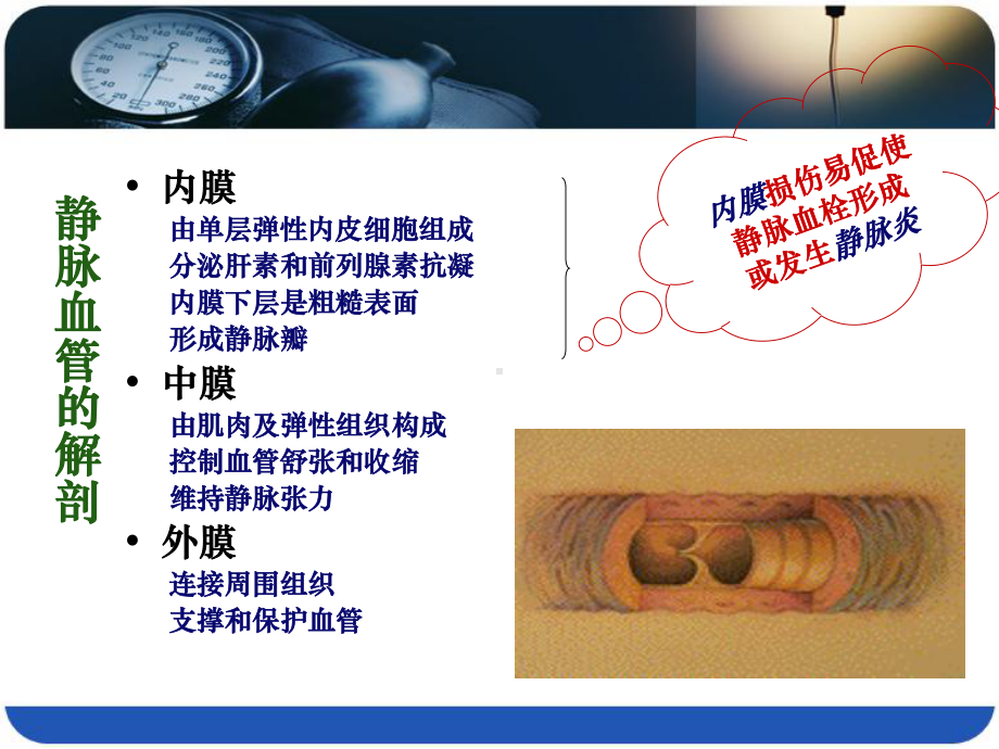 肿瘤科小讲课 静脉输液工具选择课件.ppt_第3页