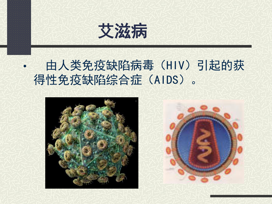 获得性免疫缺陷综合症医学微生物学教研室课件.ppt_第2页