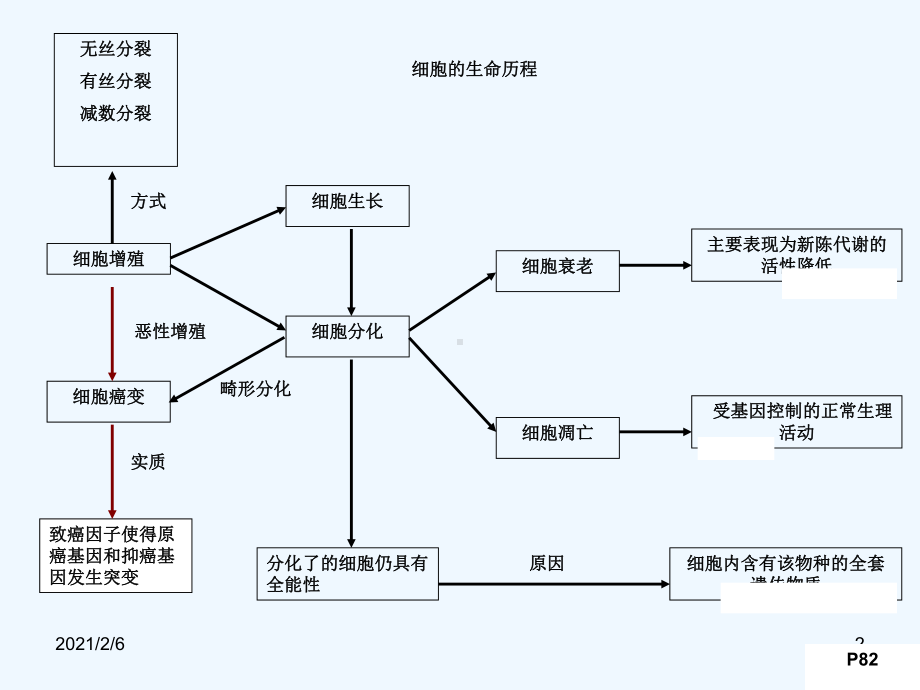 一轮复习有丝分裂经典课件.ppt_第2页