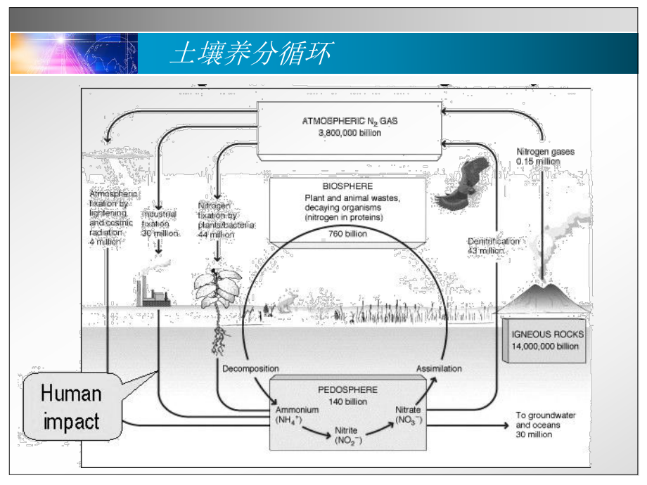 土壤学-国家级课程10课件.ppt_第2页