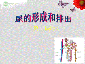 广东省仁化县周田中学七年级生物册十一人体废物的排出二(二课时)北师大版课件.ppt