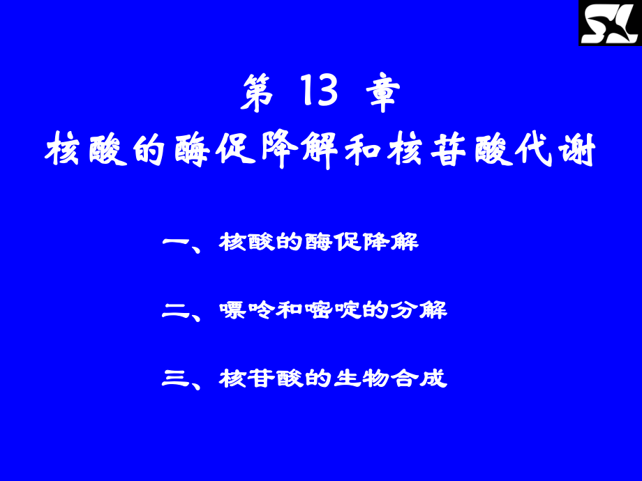 核酸的酶促降解和核苷酸代谢（）课件.ppt_第1页