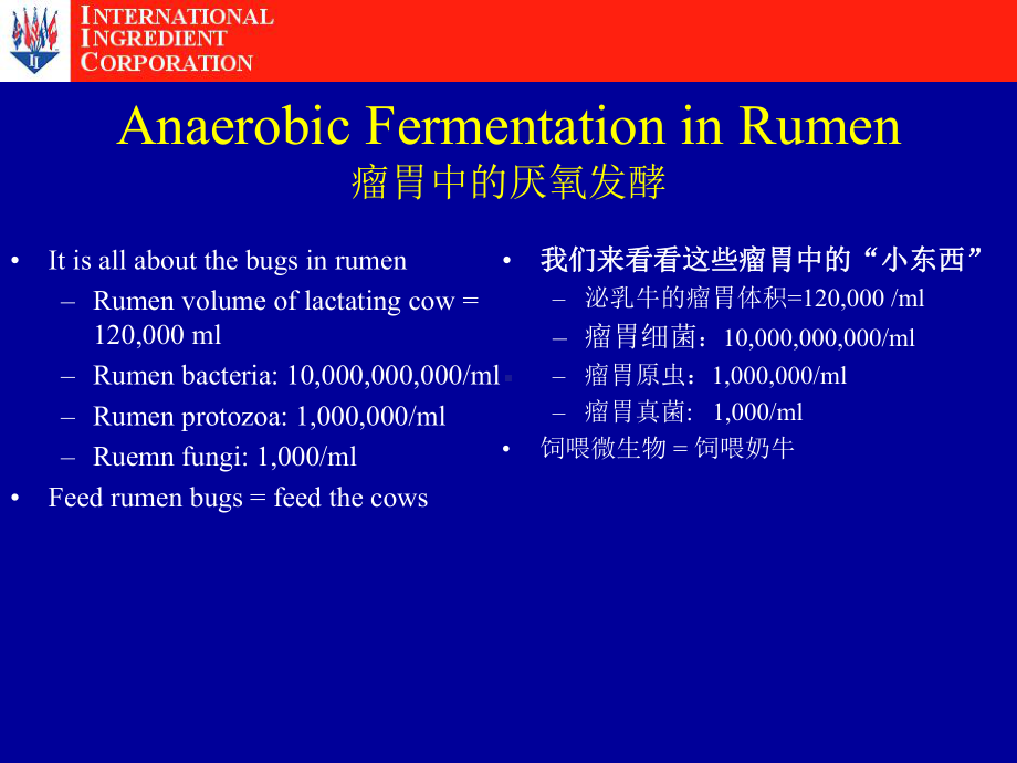 瘤胃中蛋白能量代谢机制课件.ppt_第3页