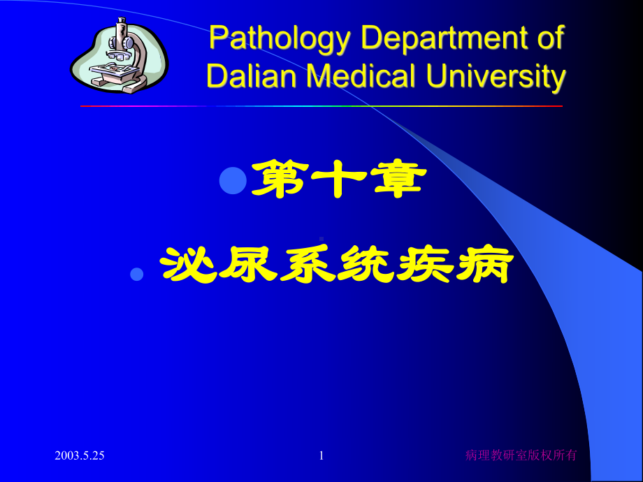 病理学课件 第十章泌尿系统疾病.ppt_第1页