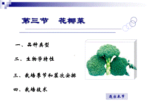 第三节花椰菜课件.ppt