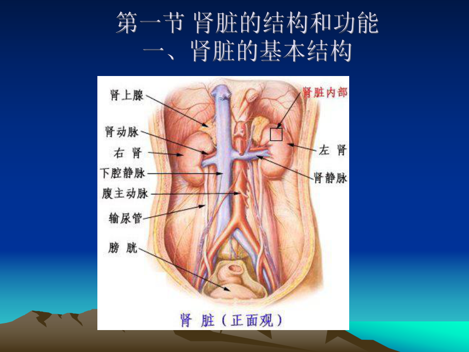 第五章常用肾脏功能实验室检测课件.ppt_第3页