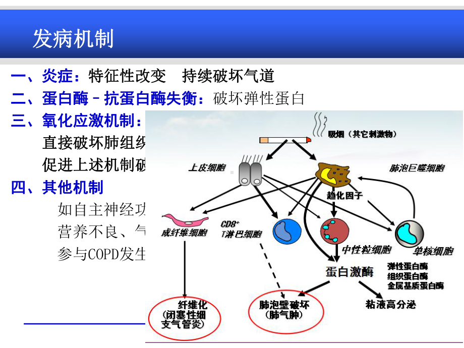 慢阻肺与肺心病(本科内科护理临床部分)课件.ppt_第3页