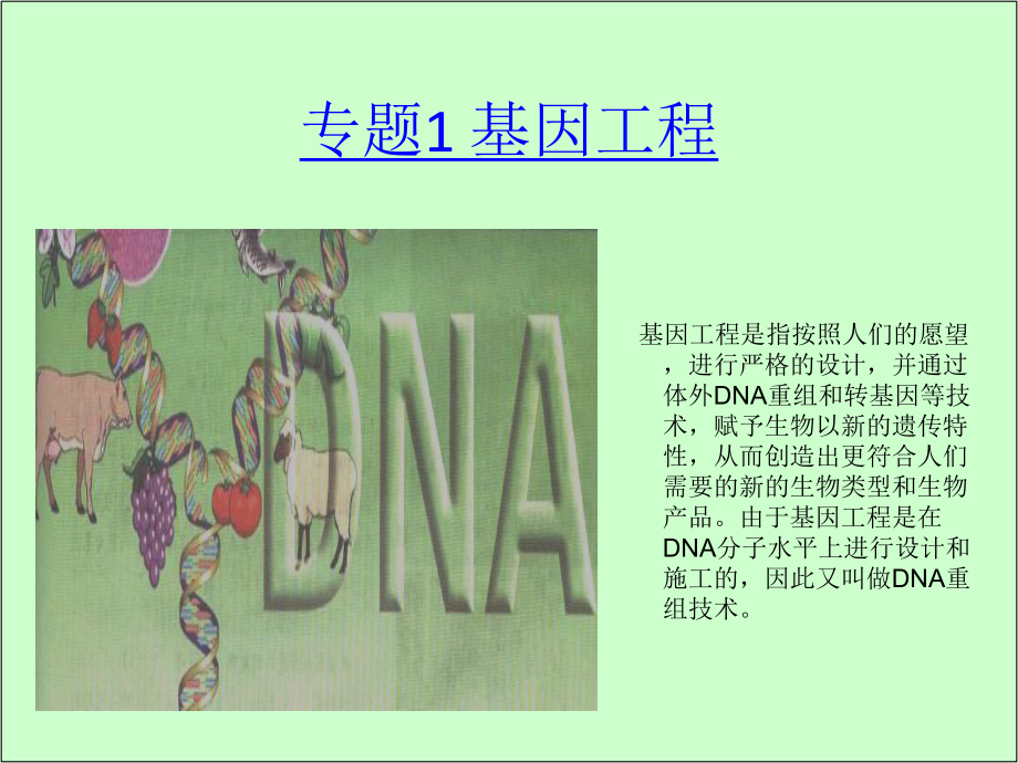 人教版教学课件DNA重组技术的基本工具(动画经典)[应用].ppt_第1页