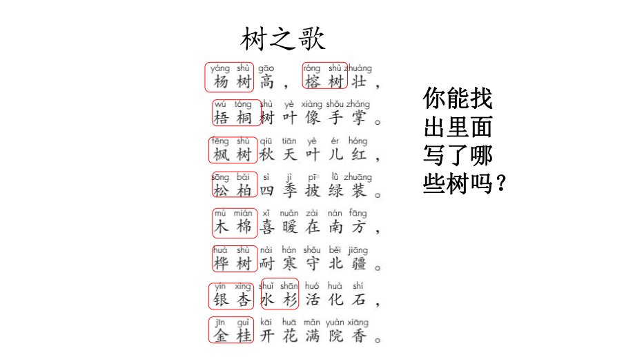 人教部编版二年级上册语文课件《树之歌》.pptx_第3页