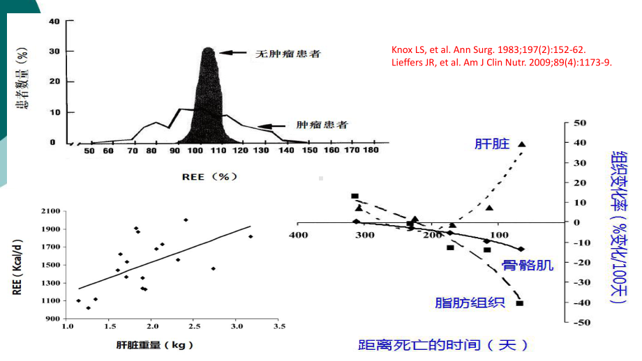 肿瘤代谢调节疗法课件.ppt_第3页