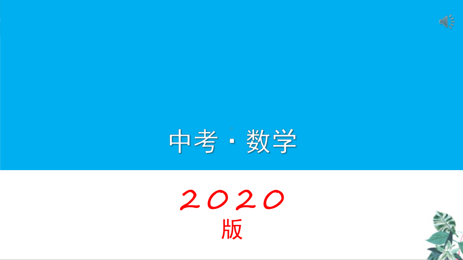 人教版初中数学九年级中考复习专题课件.pptx_第1页