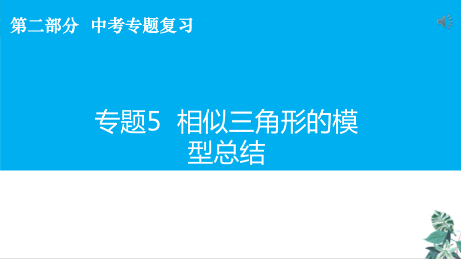 人教版初中数学九年级中考复习专题课件.pptx_第2页